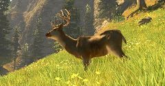 Cabela's Trophy Bucks - Cabela's Trophy Bucks