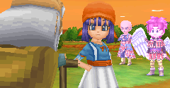 Dragon Quest 9: Sentinels of the Starry Skies - Dragon Quest 9: Sentinels of the Starry Skies