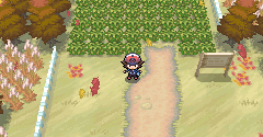 Pokémon Black / White - Pokémon Black / White