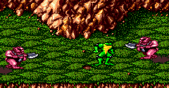 Battletoads - Battletoads
