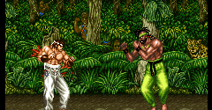 Fighter's History: Mizoguchi Kiki Ippatsu!! (JPN) - Fighter's History: Mizoguchi Kiki Ippatsu!! (JPN)