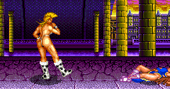 Strip Fighter 2 (JPN) - Strip Fighter 2 (JPN)