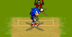Sonic Cricket - Sonic Cricket