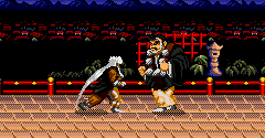 Mystical Fighter - Mystical Fighter
