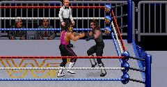 WWF Royal Rumble - WWF Royal Rumble