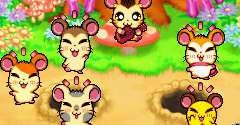 Hi! Hamtaro: Ham-Ham Challenge - Hi! Hamtaro: Ham-Ham Challenge