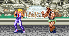 Fighter's History - Fighter's History