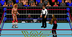WWF Super Wrestlemania - WWF Super Wrestlemania