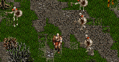 Diablo 3 (Bootleg) - Diablo 3 (Bootleg)