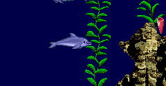 Ecco Jr. - Ecco Jr.