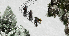 Commandos Beyond Enemy Lines / Beyond the Call of Duty - Commandos Beyond Enemy Lines / Beyond the Call of Duty