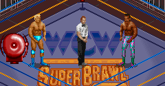WCW SuperBrawl Wrestling (USA) - WCW SuperBrawl Wrestling (USA)