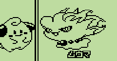 Pokémon Puzzle Collection Vol. 2 - Pokémon Puzzle Collection Vol. 2