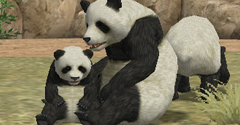 My Zoo - My Zoo