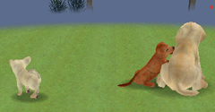 Nintendogs: Dalmatian & Friends - Nintendogs: Dalmatian & Friends