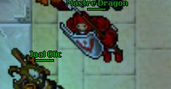 Tibia - Tibia