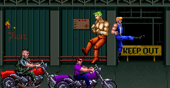 Double Dragon 3: The Rosetta Stone - Double Dragon 3: The Rosetta Stone