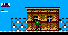 The Incredible Hulk - The Incredible Hulk