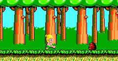 Wonder Boy - Wonder Boy