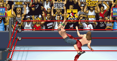 WWE Survivor Series - WWE Survivor Series
