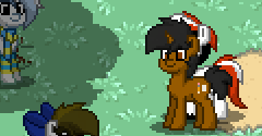 Pony Town - Pony Town