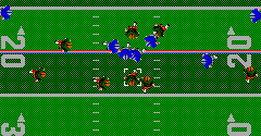 Walter Payton Football / American Pro Football - Walter Payton Football / American Pro Football