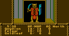 Advanced Dungeons & Dragons: Pool of Radiance - Advanced Dungeons & Dragons: Pool of Radiance