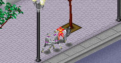 Power Rangers Wild Force - Power Rangers Wild Force