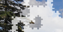 Jigsaw Puzzles - Best Vol 2 - Jigsaw Puzzles - Best Vol 2