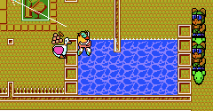 The NewZealand Story (JPN) - The NewZealand Story (JPN)