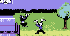 Samurai Warrior: The Battles of Usagi Yojimbo - Samurai Warrior: The Battles of Usagi Yojimbo