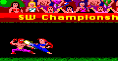 Street Warriors (Homebrew) - Street Warriors (Homebrew)