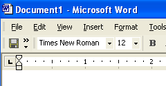 Microsoft Office XP - Microsoft Office XP