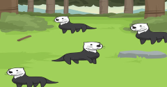 Sea Otter Evolution - Sea Otter Evolution