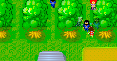 Ninja Princess/Sega Ninja - Ninja Princess/Sega Ninja