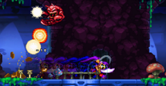 Shantae and the Pirate's Curse - Shantae and the Pirate's Curse